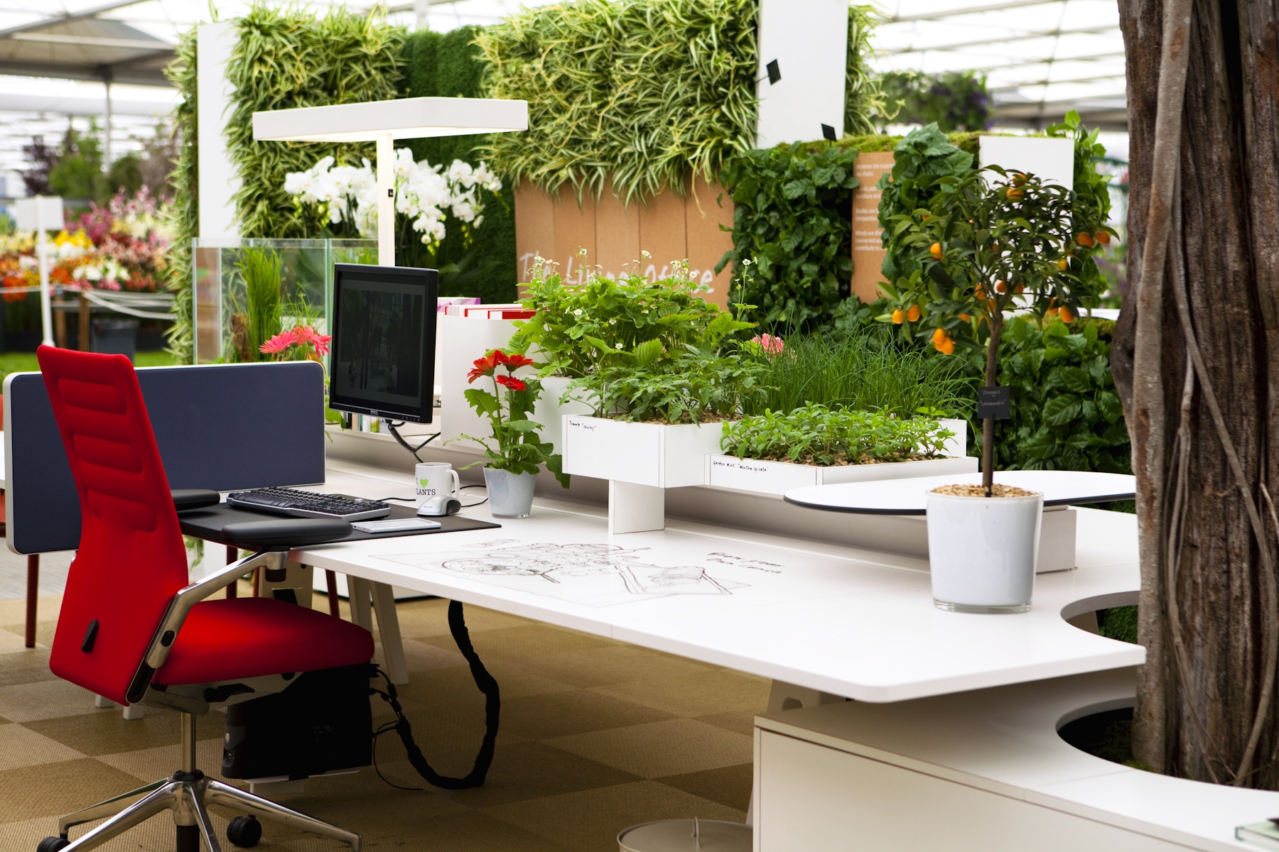 Vipoffice giúp thiết kế cây xanh trong văn phòng hoàn thiện nhất